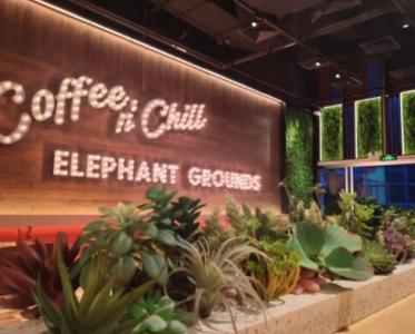 Elephant Grounds 大象园:把“绿洲”带进 CBD 的餐厅